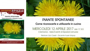 piante_FB